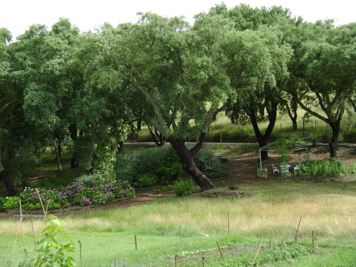 Quinta Do Cano Évora Esterno foto