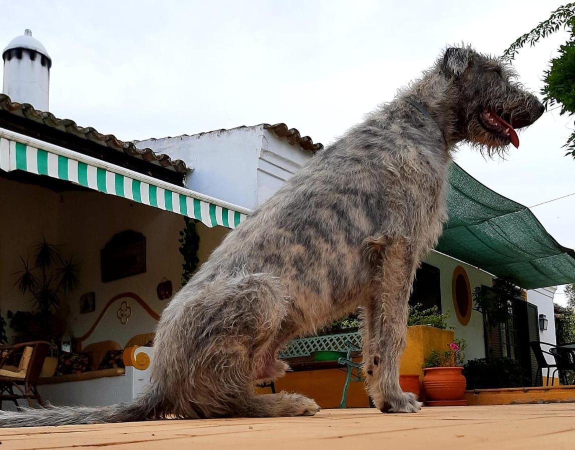 Quinta Do Cano Évora Esterno foto
