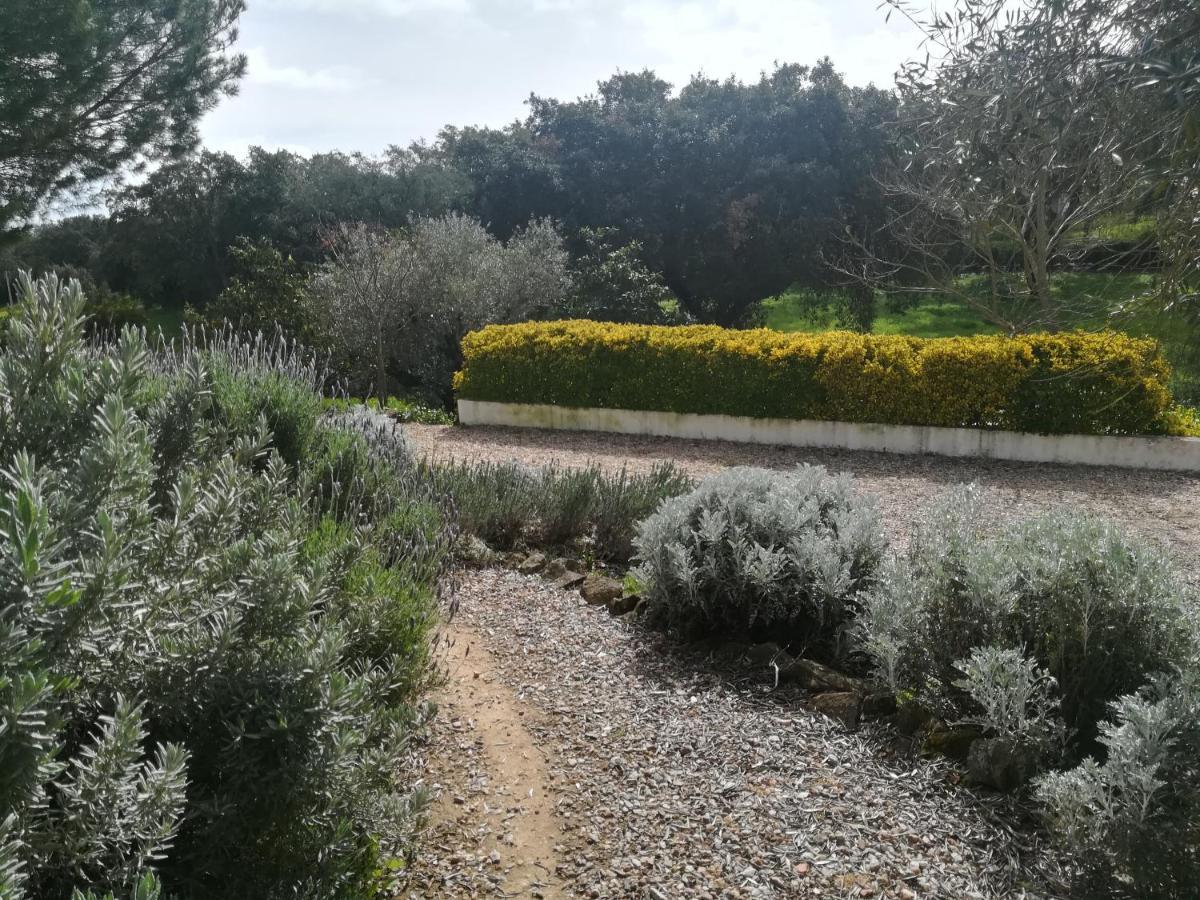 Quinta Do Cano Évora Esterno foto