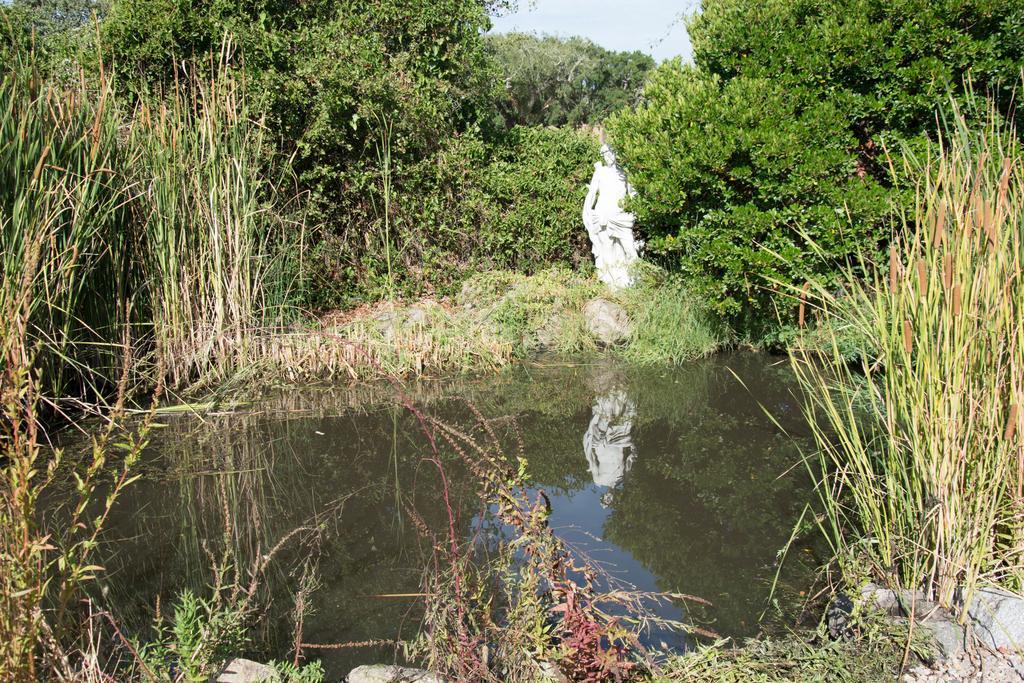 Quinta Do Cano Évora Esterno foto